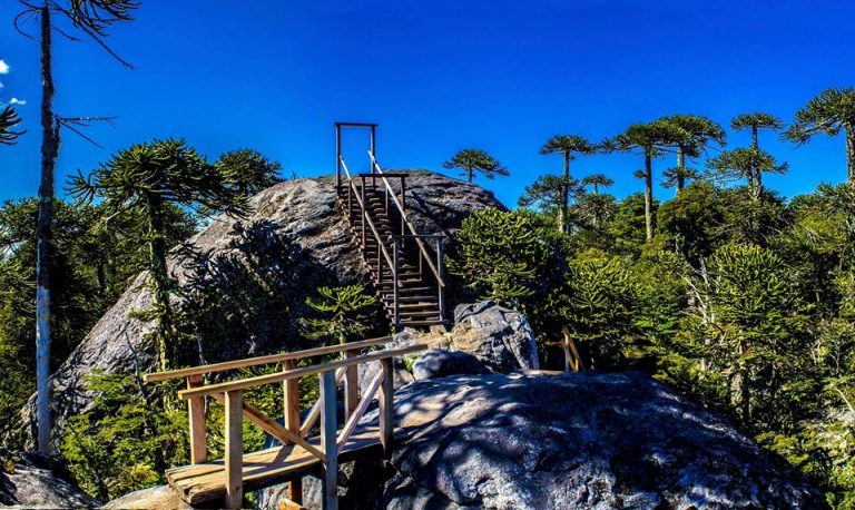 ANGOL – Reconoce Chile